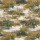 CASAMANCE_48430368.jpg