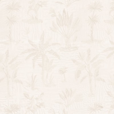 CASAMANCE_47570128.jpg