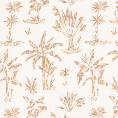 CASAMANCE_47570320.jpg