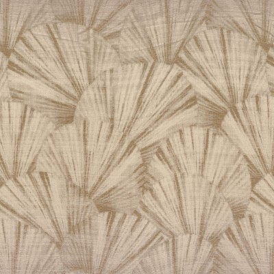 CASAMANCE_47580269.jpg