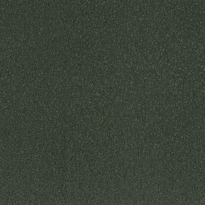 CASAMANCE_45941135.jpg