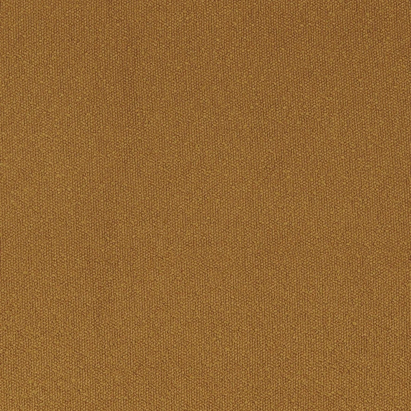 CASAMANCE_45941237.jpg