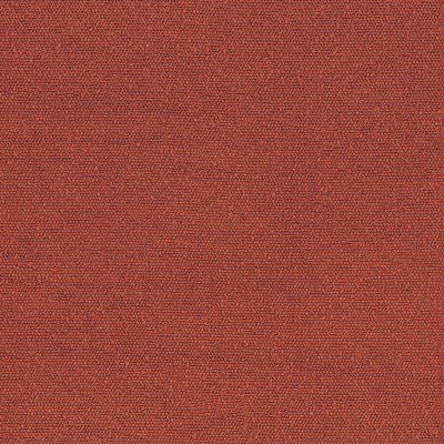 CASAMANCE_45941441.jpg