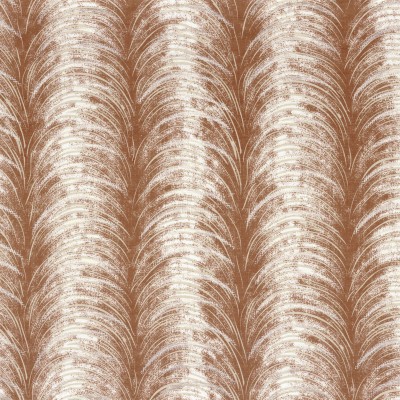 CASAMANCE_49820227.jpg