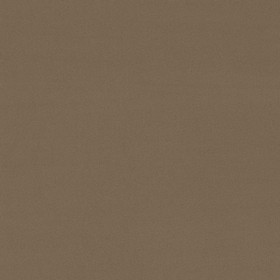 CASAMANCE_41880643.jpg