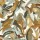 CASAMANCE_42760116.jpg