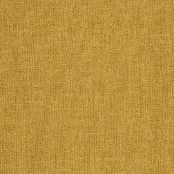 CASAMANCE_36691916.jpg
