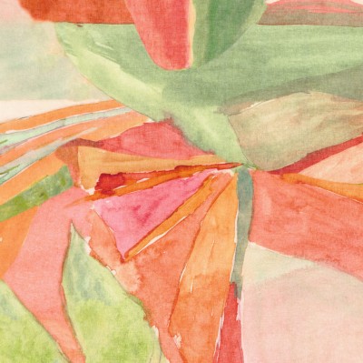CASAMANCE_46850126 (1).jpg
