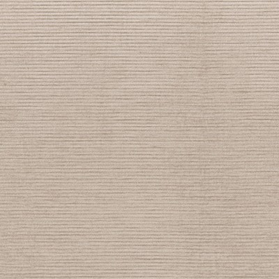 CASAMANCE_46120199.jpg