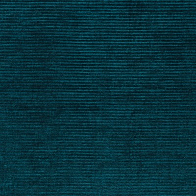 CASAMANCE_46120591.jpg