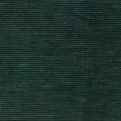 CASAMANCE_46120689.jpg