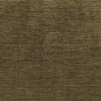 CASAMANCE_46120983.jpg