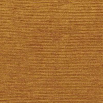 CASAMANCE_46121081.jpg
