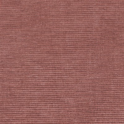 CASAMANCE_46121473.jpg