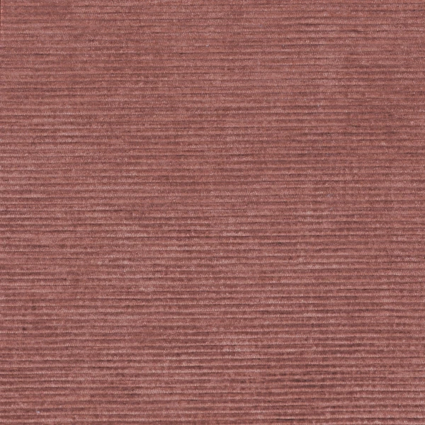 CASAMANCE_46121473.jpg