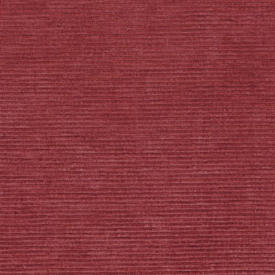 CASAMANCE_46121571.jpg