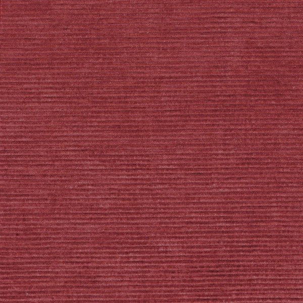 CASAMANCE_46121571.jpg