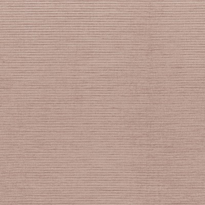 CASAMANCE_46121669.jpg