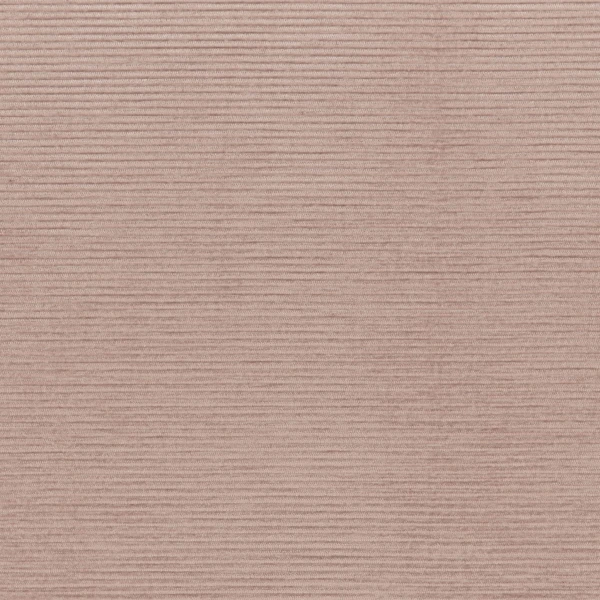 CASAMANCE_46121669.jpg
