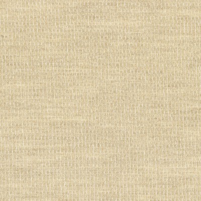 CASAMANCE_50400192.jpg