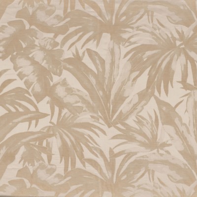 CASAMANCE_49740117.jpg