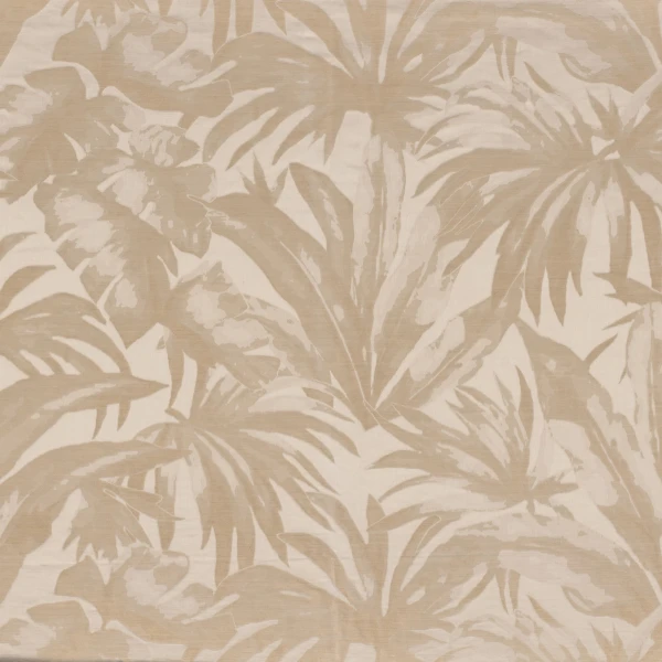 CASAMANCE_49740117.jpg