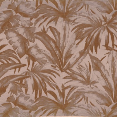 CASAMANCE_49740218.jpg