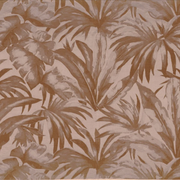 CASAMANCE_49740218.jpg