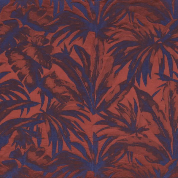 CASAMANCE_49740319.jpg
