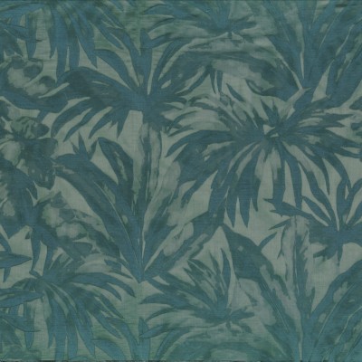 CASAMANCE_49740521.jpg