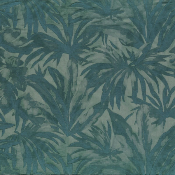 CASAMANCE_49740521.jpg