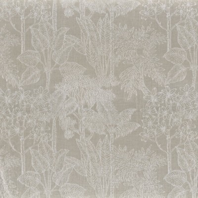 CASAMANCE_49750158.jpg