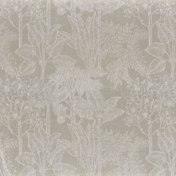 CASAMANCE_49750158.jpg
