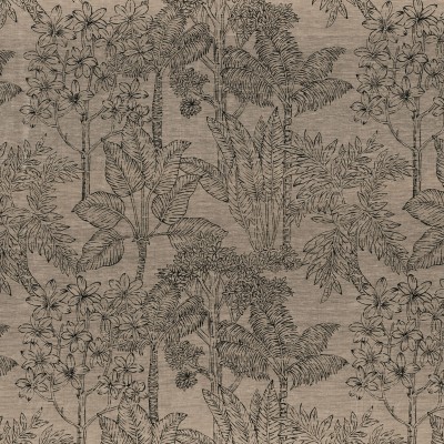CASAMANCE_49750260.jpg