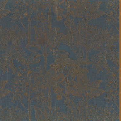 CASAMANCE_49750362.jpg