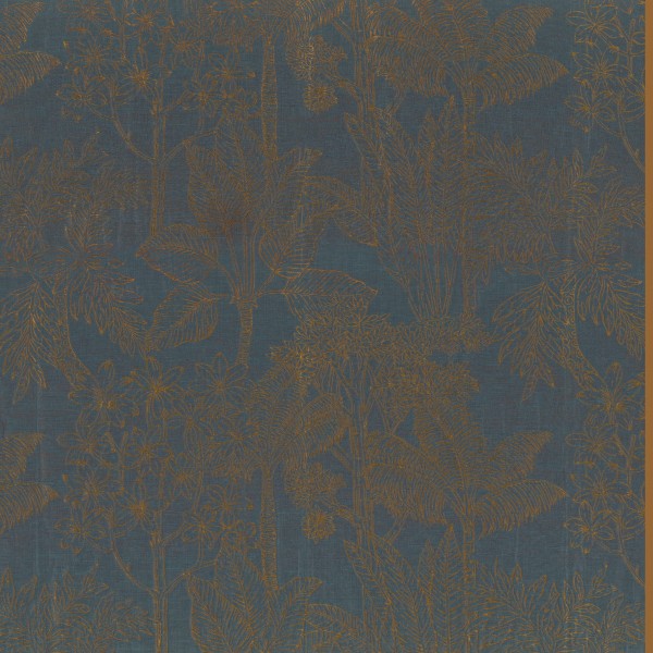 CASAMANCE_49750362.jpg