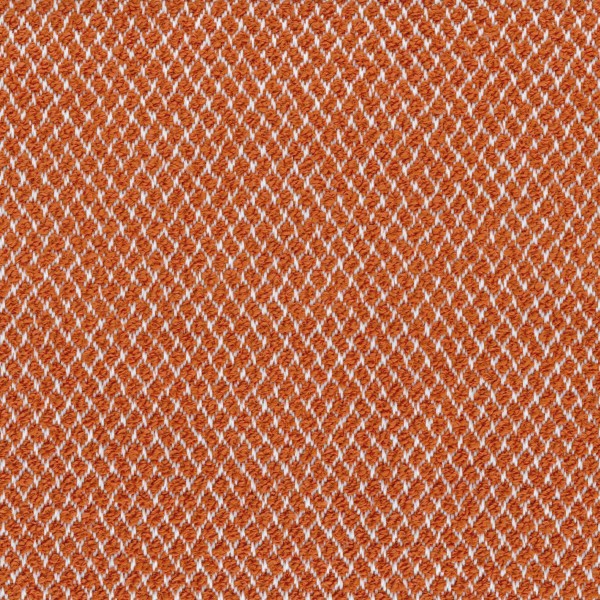 CASAMANCE_47860554.jpg