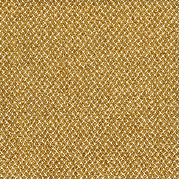 CASAMANCE_47860620.jpg