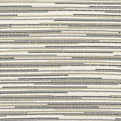 CASAMANCE_48070123.jpg