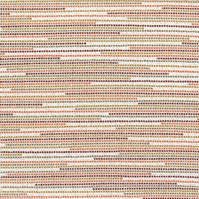 CASAMANCE_48070444.jpg