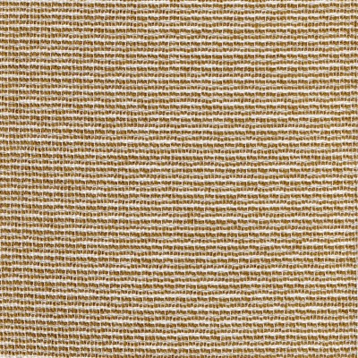 CASAMANCE_48291034.jpg