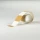 176113.webp