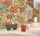 165299.webp