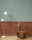 176209.webp