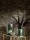 183748.webp