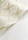 188313.webp