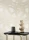 188206.webp