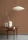 181872.webp
