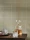 177407.webp