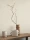 181865.webp